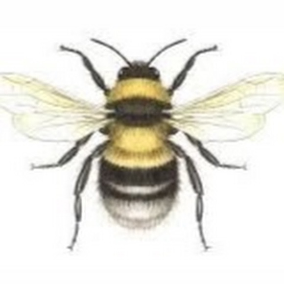 Meet your Posher, Paula - Picture 1 of 1